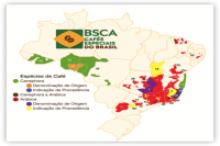 Similarities and Differences Between Colombian and Brazilian Coffee - Flavor Characteristics and Taste of Medium-Dark Roast Brazil and Colombia Coffee Beans