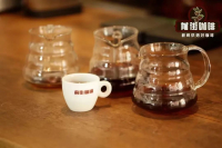 Origin Flavor Profile and Taste Characteristics of Blue Mountain Coffee: Is Authentic Jamaican Blue Mountain Coffee Expensive? How Much Does It Cost?