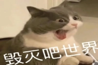 What's the ideal brewing temperature for dark roast coffee beans? Should you use 92°C water for pour-over light roast coffee?