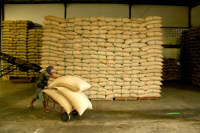 Tanzania Coffee Bean Region Stories  Tanzania Coffee Bean Brewing and Flavor Characteristics