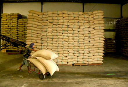 Tanzania Coffee Bean Region Stories  Tanzania Coffee Bean Brewing and Flavor Characteristics