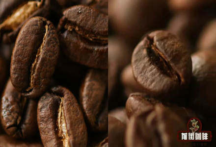 Robusta Coffee Beans vs Arabica Flavor Differences: Where Are the Best Robusta Coffee Beans From?
