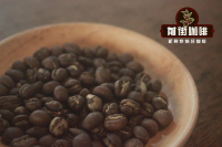 What Are Kenya PB Coffee Beans? An Introduction to Sasini Kenya Peaberries