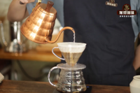 Coffee Bean Recommendations for Beginners? How to Choose Coffee Beans for Pour-Over? Characteristics and Flavor Profiles of Different Coffee Beans