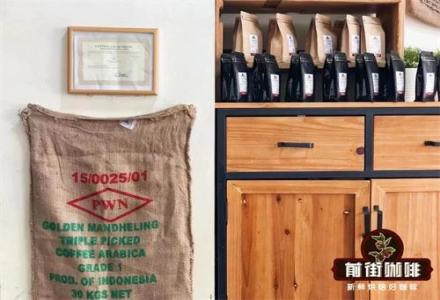 What's the Difference Between PWN Golden Mandheling and G1 Mandheling - An Introduction to Mandheling Coffee Bean Grading System