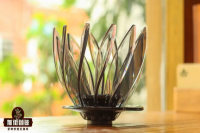 What's the Difference Between Hario's Water Lily Dripper and V60 Dripper? What are the Features of the Water Lily Dripper?