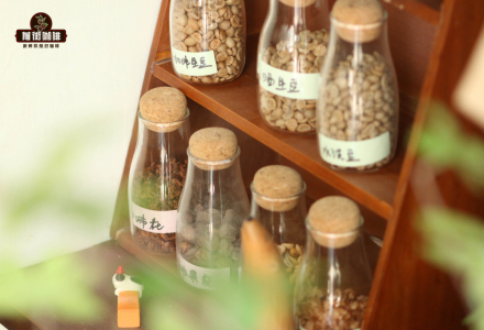 Sidamo Coffee Bean Flavor Characteristics and Taste Profile - Sidamo Flower Champion Coffee 6.0 Pour-Over Brewing Flavor Description