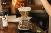 Characteristics and Story of Indonesian Sumatra Mandheling Coffee Beans: Pour-Over Temperature, Ratio, and Grind