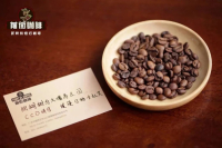 What is the 'CCD' Project in Panama Coffee?