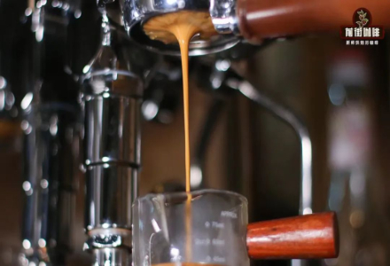 Who Should Drink Espresso? Proper Extraction Methods and Important Considerations for Italian Coffee