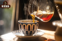 Why Does Dark Roast Coffee Still Have Acidity? When Is Coffee Harvest Season? What Are the Definitions of Resting Period and Optimal Flavor Period?