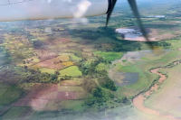 Sidamo Coffee Bean Flavor, Taste, and Aroma Characteristics: Latest Updates on the First Arrival of Flower Queen 6.0