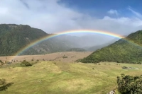 Panama Coffee Beans | Introduction to Volcán 90+ Company Finca Geisha Juliet Coffee Beans