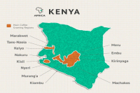 Kenya AA|Kenya Coffee Growing Region Flavor Grading Standards Introduction to Kenya Coffee K72 Washed Processing Method