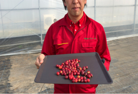 Japanese Domestic Coffee Beans Announce Pre-sale! As for the Price... At Least They're Not Sold by the Bean!