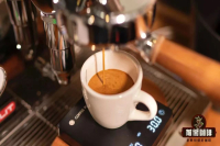 Top 10 World's Best Coffee Rankings: Famous Premium Coffee Brands and What Makes Them Exceptional