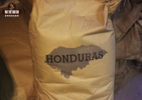 Honduran Coffee Grading and Flavor Profile What Are the High-Quality Estate Coffee Beans from Honduras?