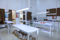 Sidamo Coffee Origin Green Bean Processing Methods Grade Regions Flavor Description