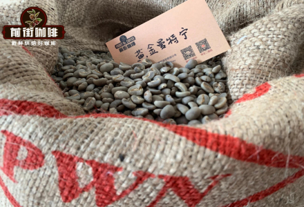 Pawani Golden Mandheling Coffee Flavor Profile and Characteristics | Indonesian Mandheling Coffee Bean Origin and Variety Introduction