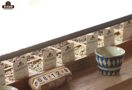 Arabica Coffee Bean Varieties: Visual Characteristics & How to Distinguish Typica, Bourbon, and Geisha