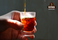 [Image] What to Do When Pour-Over Coffee is Too Bitter? Why Do Coffee Beans Have a Bitter and Astringent Taste?