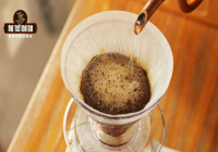 Pour-over Gesha Village Estate Red Label Natural Gori Gesha Introduction - FrontStreet Coffee Gesha Pour-over Parameters Sharing