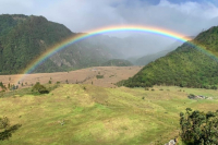 What are the characteristics of Geisha from Panama's 90+ Estates? Introduction to 90+Eleta Geisha from Volcán Region