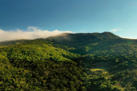 Introduction to Panama's Hacienda La Esmeralda Coffee Region | Altitude of La Esmeralda Coffee Beans