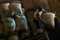 Coffee Prices Rising?! Brazilian Coffee Inventory Hits Historic Low