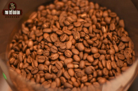 Differences Between Pour-Over and Espresso Coffee Beans Can Espresso Blend Coffee Beans Be Used for Pour-Over Coffee?
