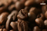 What is Vietnam's Most Famous Coffee Bean? Robusta Flavor! How to Make Drip Coffee? Is Condensed Milk Coffee Delicious?