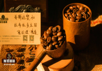 Introduction to Costa Rica San Isidro Labrador Estate Honey Process Geisha Coffee Beans