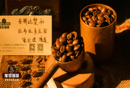 Introduction to Costa Rica San Isidro Labrador Estate Honey Process Geisha Coffee Beans