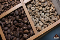 Traditional Coffee Bean Processing Methods: Introduction to Common Natural, Washed, and Honey Processed Coffee Beans