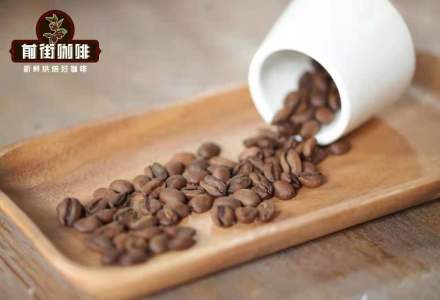 How to Drink Panama Geisha Coffee Las Rocas - Grade Classification of New Blue Label Geisha Coffee Beans