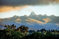 What Does Kenyan Coffee Taste Like? What Grading System Does Kenya Use?