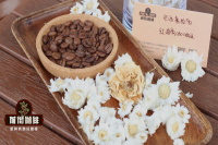 World Premium Coffee Beans: A Detailed Guide to Brazilian Coffee Growing Regions, Harvesting Methods and Varieties