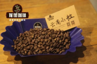 Which Brand Has the Best Yunnan Coffee Beans? Introduction to Main Coffee Bean Origins in Yunnan and Flavor Evaluation