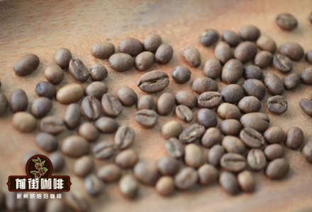 What is Yirgacheffe Coffee Variety? Introduction to the Flavor and Taste Characteristics of Washed Yirgacheffe Americano