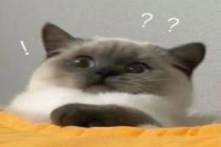 What's the Difference Between Freeze-Dried Coffee and Instant Coffee?