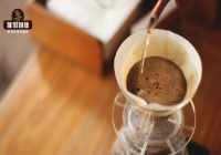 How to Brew Arabica Coffee Beans for Great Taste? Recommended Coffee Beans for Brewing Beginners