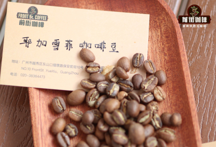 What Does Yirgacheffe Mean? What Coffee Bean Variety is Yirgacheffe? Is it Suitable for Pour-Over? Taste Description