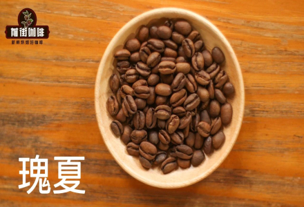 Understanding the Premium Quality of Geisha Coffee Beans Why Geisha Coffee Beans Are So Expensive