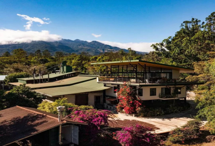 Panama Coffee Beans | Introduction to Boquete Region's La Esmeralda Green Label Washed Geisha