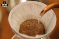 The Story of Geisha Coffee Beans: A Description of the Hand-Dripped Flavor Characteristics and Differences Between Panamanian and Ethiopian Geisha