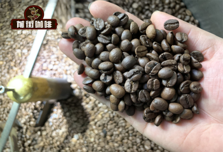 Differences Between Medium and Dark Roast Brazilian Coffee Beans: Flavor Profiles & Dark Roast Recommendations