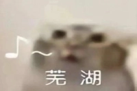 How to Make Milk Brick Iced Latte? Is Affogato Just Ice Cream with Espresso? What is Latte Coffee?