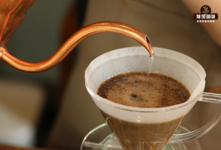 How to Brew with Kono Dripper? KONO Pour-Over Coffee Tutorial and Brewing Techniques