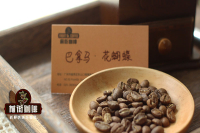 Panama Washed 'Flower Butterfly' Coffee - Does a Geisha Blend Mean It's Not a Single-Origin Coffee Bean?