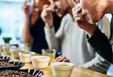 What are COE Coffee Beans? Differences Between COE and SOE, Coffee Characteristics, SOE Coffee Full Name, Meaning, and Flavor Profile